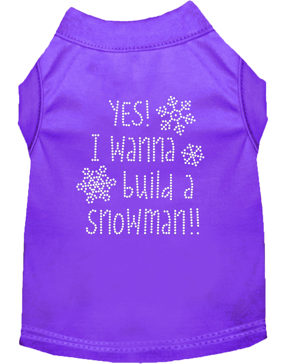 Yes! I want to build a Snowman Rhinestone Dog Shirt Purple Lg